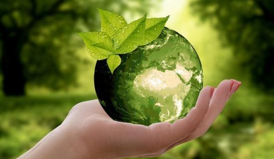 etude impact environnement